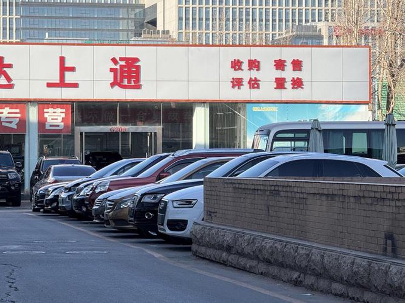 选购指南：如何选择合适的稻普汽车